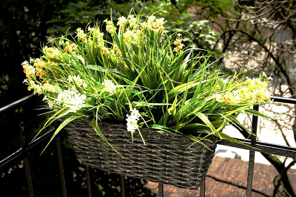 Flowers City Center Apartments Zagrzeb Pokój zdjęcie